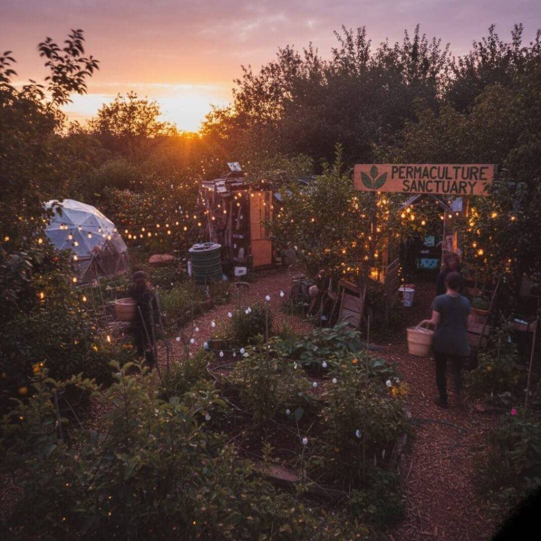 Permaculture retreat glowing at dusk with fairy lights.