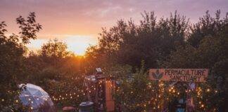 The Rise of Permaculture Retreats in Sustainable Tourism Permaculture retreat glowing at dusk with fairy lights.