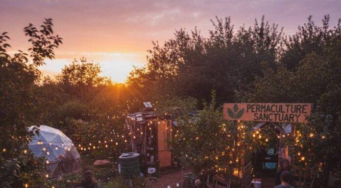 The Rise of Permaculture Retreats in Sustainable Tourism Permaculture retreat glowing at dusk with fairy lights.