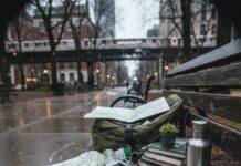 How to Plan a Carbon-Neutral Trip Without Breaking the Bank Chicago rain on a chaotic park bench setup.