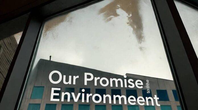 Sustainable Hotels: Greenwashing or Genuine Eco-Effort? Skeptical glance at truly sustainable hotels vs. greenwashing scams.