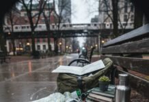 How to Plan a Carbon-Neutral Trip Without Breaking the Bank Chicago rain on a chaotic park bench setup.