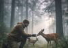 What Is Eco Tourism? A Beginner’s Guide to Responsible Adventures Hiker feeding deer in misty forest.